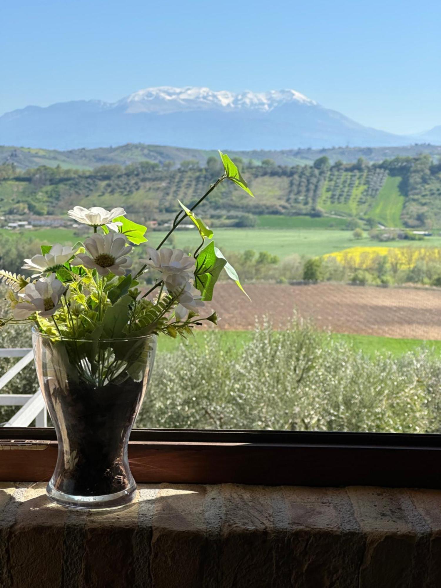 Il Podere Degli Asinelli Città Sant'Angelo Buitenkant foto