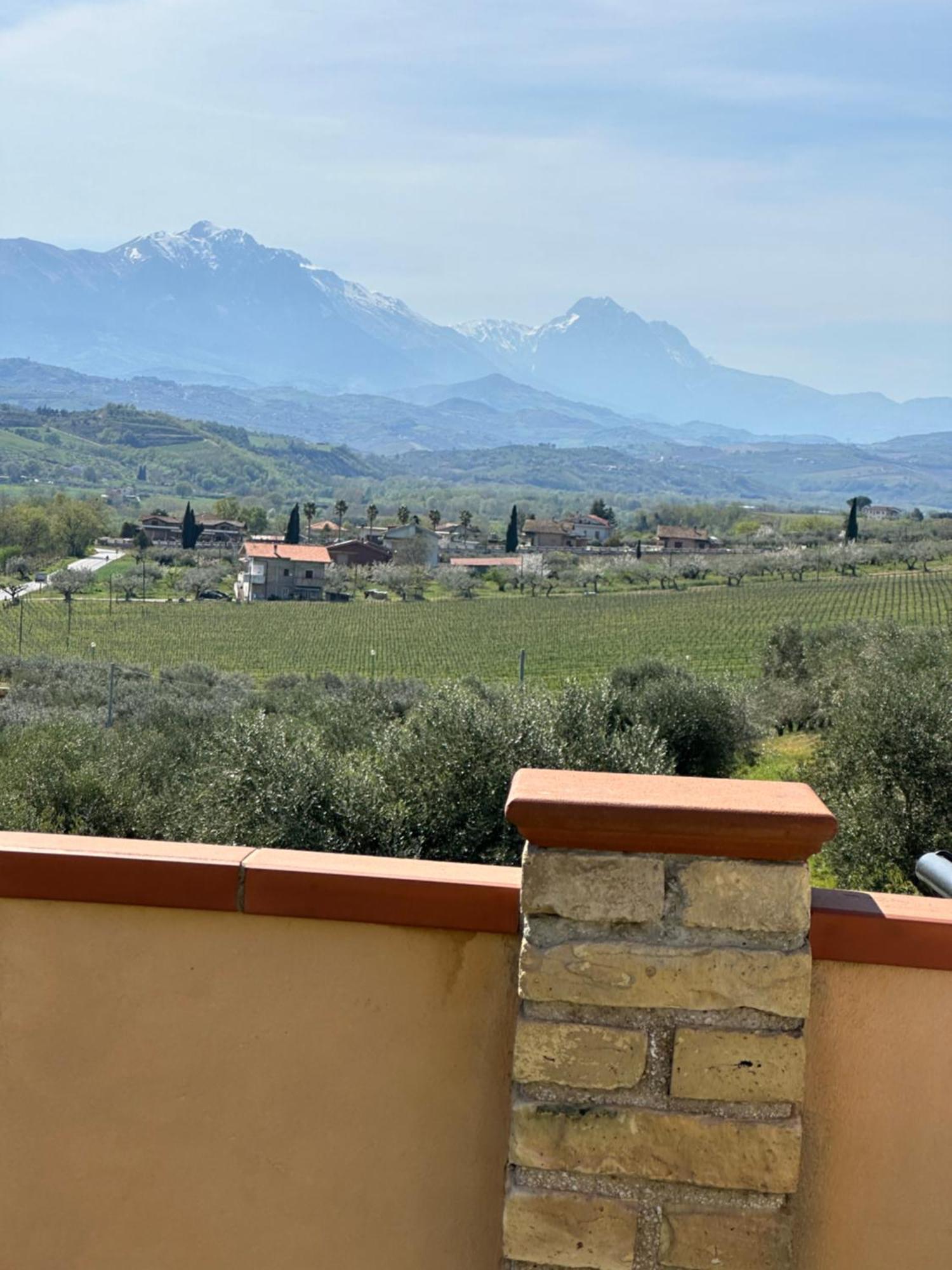 Il Podere Degli Asinelli Città Sant'Angelo Buitenkant foto